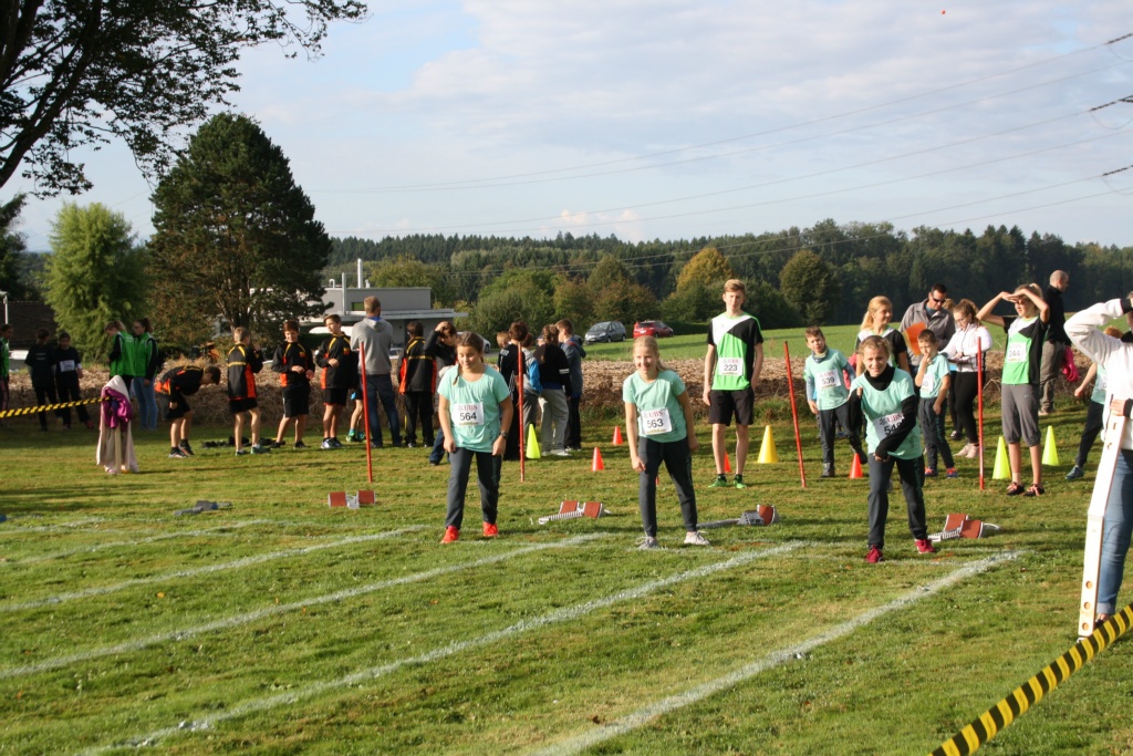 Bild 1 (35)